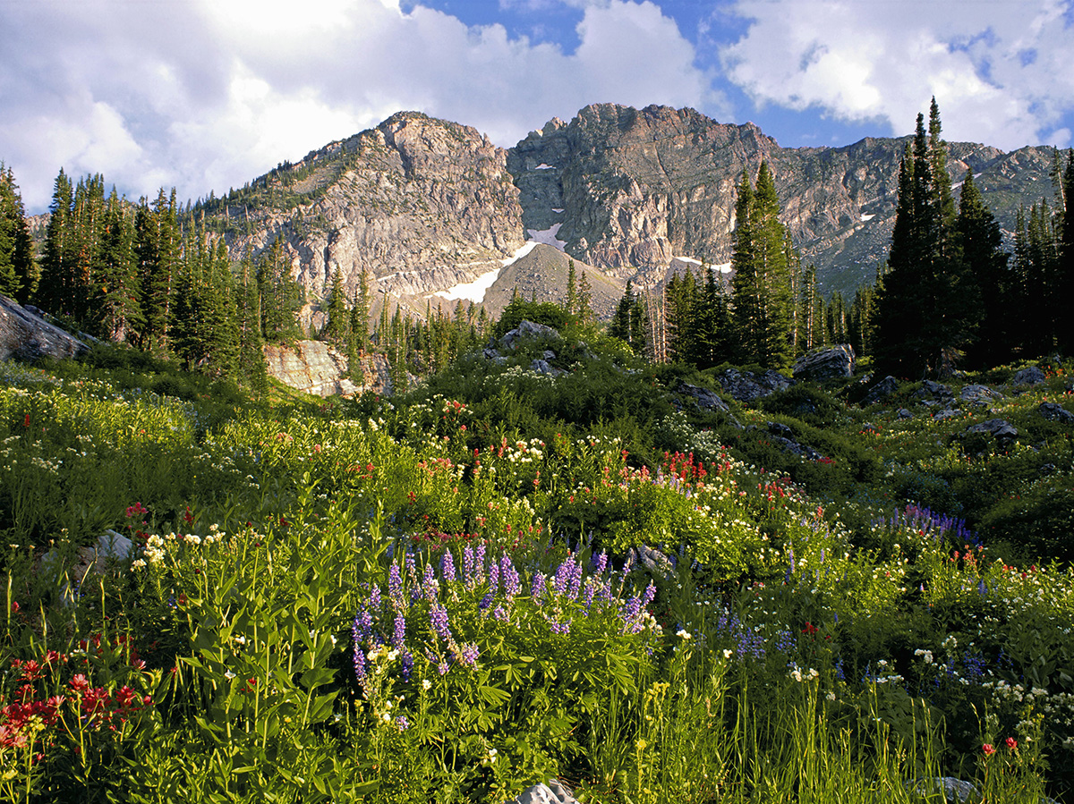 Cottonwood Heights